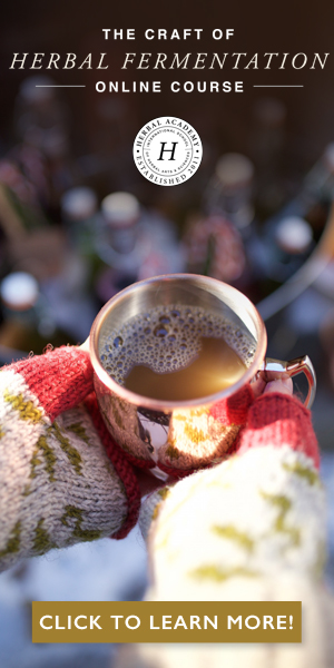 The Craft of Herbal Fermentation Course by Herbal Academy