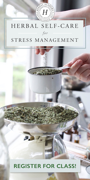 Enroll in the Herbal Self-Care for Stress Management Course