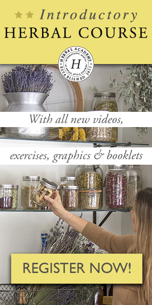 Your basic beginners herbalism class by herbal academy